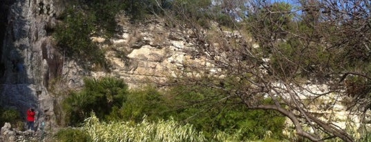 Japanese Tea Gardens is one of San Antonio.