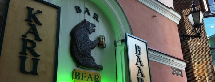Karu Baar is one of The Barman's bars in Tallinn.