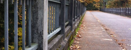 Alexandra Avenue Viaduct is one of Portland Area Bridges.