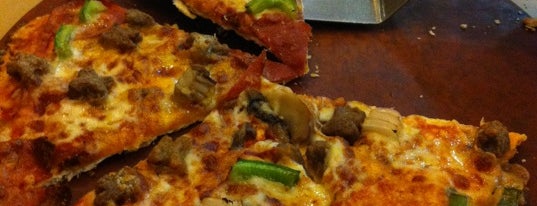 Shane S Carnivore Chronicles Rrrarr