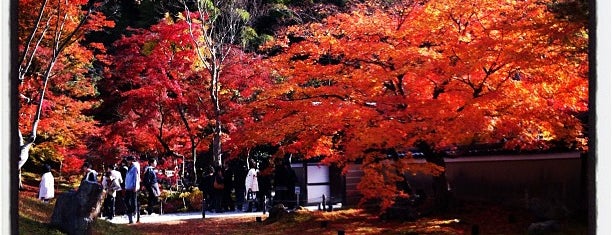 고다이지 is one of 京都の定番スポット　Famous sightseeing spots in Kyoto.