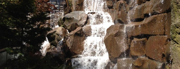 Waterfall Garden Park is one of Seattle.