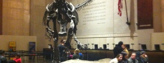 American Museum of Natural History is one of NYC to do.