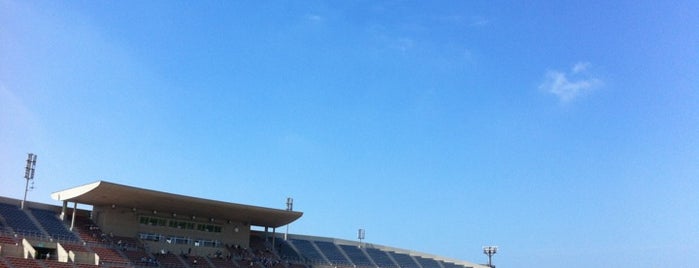 Soyu Stadium is one of J-LEAGUE Stadiums.
