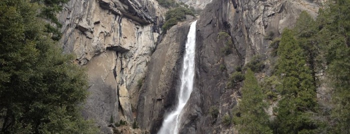 Lower Yosemite Falls is one of California Favorites.