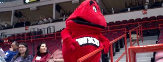 Western Kentucky University is one of Bowling Green Weekend Vacation.