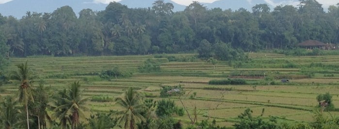 The Samaya Ubud - Bali is one of The Best Wedding Venue in Bali.