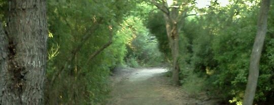 Resaca De La Palma State Park is one of Texas State Parks & State Natural Areas.