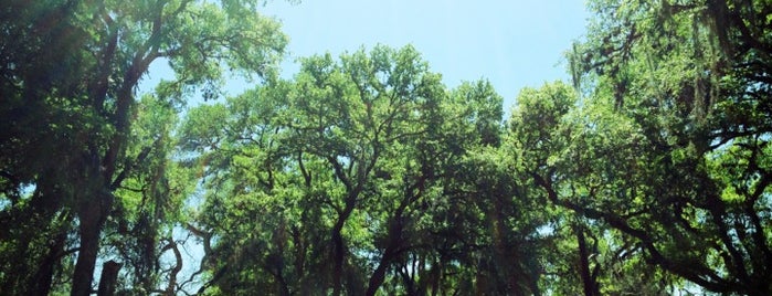 Salado Creek Park is one of San Antonio.