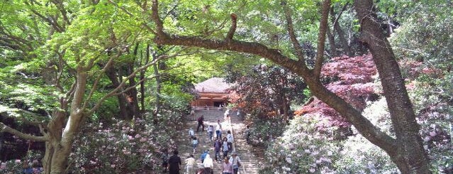 室生寺 is one of 神仏霊場 巡拝の道.