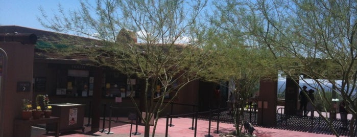 Arizona-Sonora Desert Museum is one of Turbofugg American Road Trip 17.