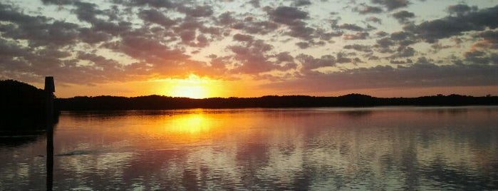 Weedon Island Preserve is one of Best of South Tampa Outdoors.