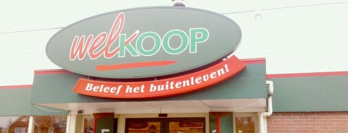Welkoop Winschoten is one of สถานที่ที่ Paulien ถูกใจ.
