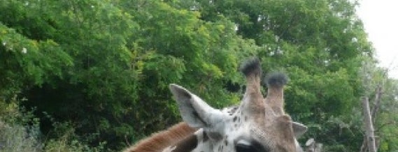 Woodland Park Zoo is one of Seattle.