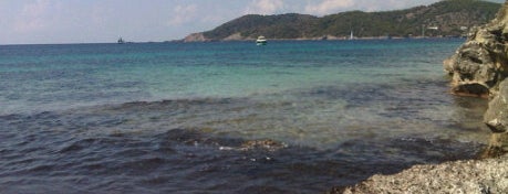 Platja Ses Salines is one of Playas de Ibiza.