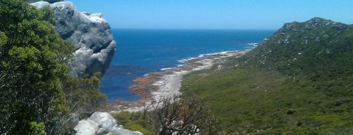 Table Mountain National Park is one of Cape Town.