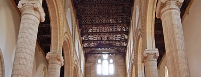 Real Colegiata de Santa María la Mayor is one of 101 cosas que ver en Andalucía antes de morir.