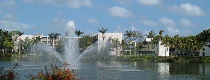 Lake Osceola is one of Self Guided Walking Tour.