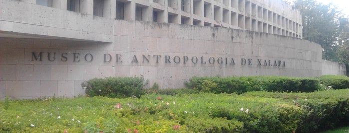 Museo de Antropologia de Xalapa is one of Mis favoritos de Xalapa.