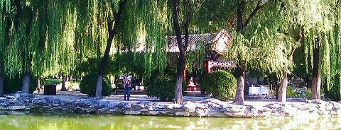 Ritan Park is one of Outdoors in Beijing.