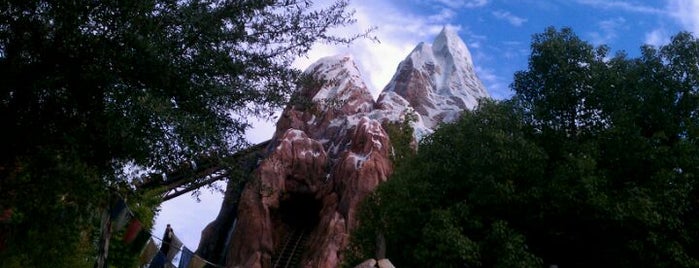 Expedition Everest is one of Best Rides in Orlando.