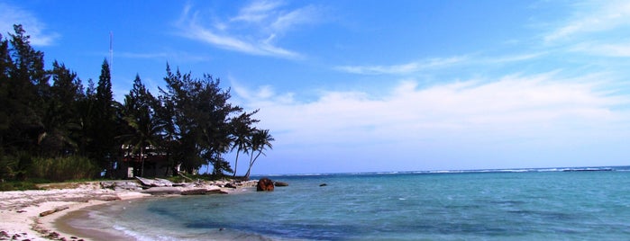 Playa Tuxpan Barra Norte is one of tuxpan.
