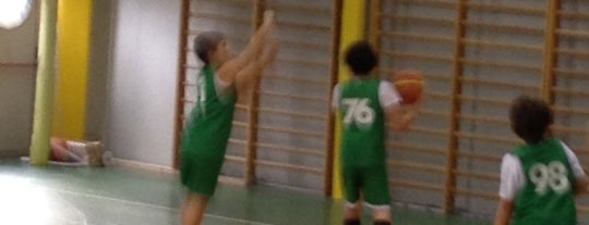 Palasport Sarissola is one of Palazzetti liguri Basket.