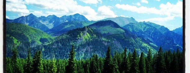 Rusinowa Polana is one of Tatry.