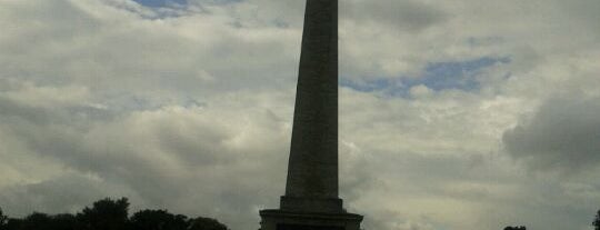 The Wellington Testimonial (The Obelisk) is one of Dublin Tourist Guide.