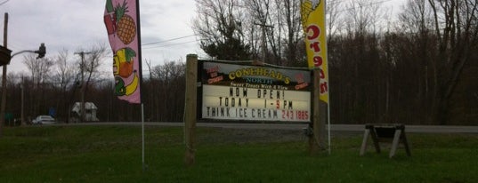Coneheads North is one of Must-visit Food in Oneida.