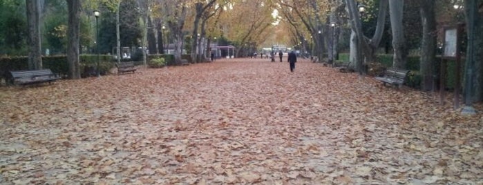 Parque Abelardo Sánchez is one of Miguelさんのお気に入りスポット.