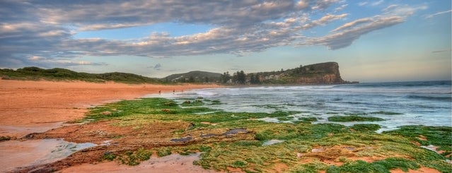 Avalon Beach is one of The Best Sydney Beaches.