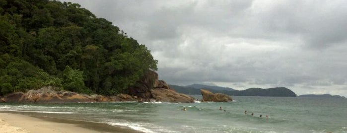 Praia do Puruba is one of Praias de Ubatuba.