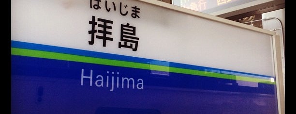 Haijima Station is one of 東京近郊区間主要駅.