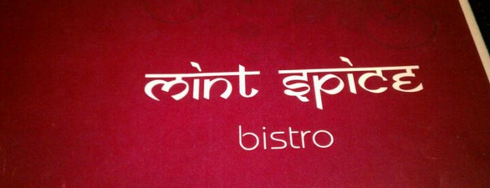 Mint Spice Bistro is one of Naan-Sense Badge -- Houston, TX.