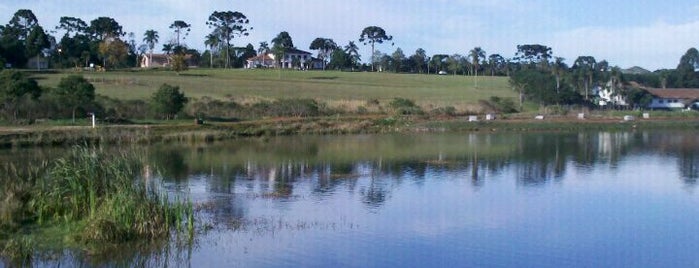 Parque Cambuí is one of Tempat yang Disukai Lucas.