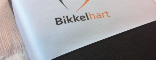 Bikkelhart HQ is one of Dutch Interactive Agencies.