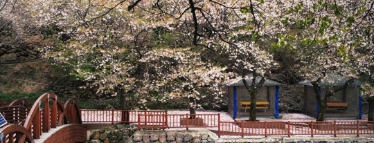 수락폭포펜션 is one of 전라남도의 게스트하우스/Guesthouses in South Jeolla Area.