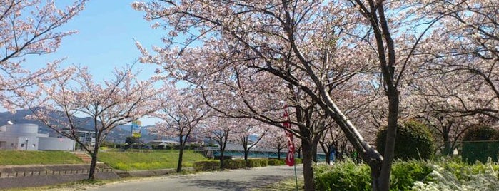 久留米百年公園 is one of Only In Japan 　　　　　　　　　　　　日本の観光名所.