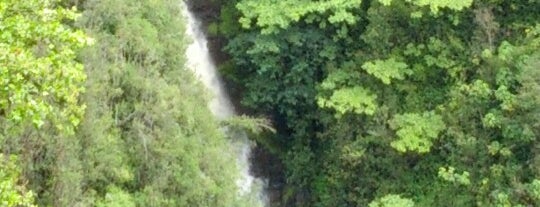 Kahuna Falls is one of Lieux qui ont plu à Edwin.