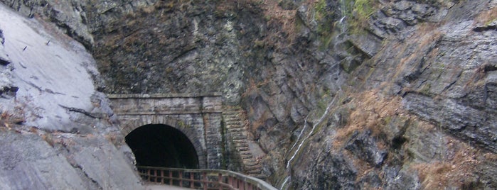Paw Paw Tunnel is one of Favorites: Western MD.