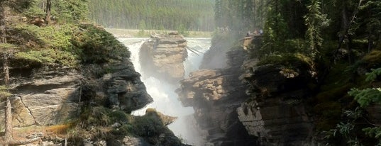 Athabasca Falls is one of kanada rockys.
