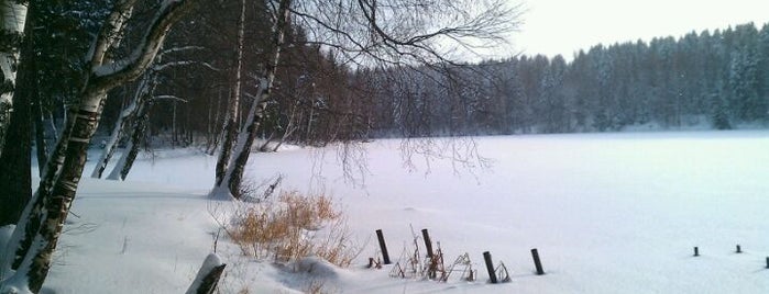 Лесное озеро is one of Beautiful places for photowalks.