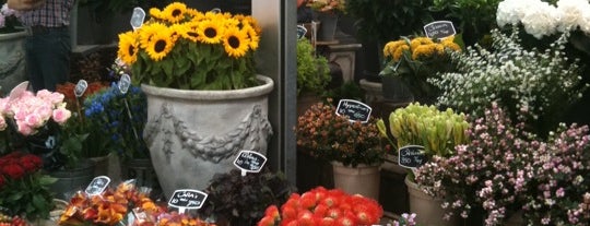 Цветочный рынок is one of 41 cosas que no puedes perderte en Ámsterdam.