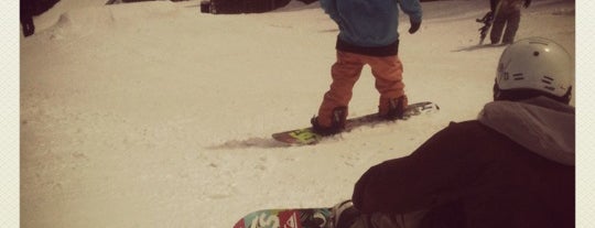 Freeway Terrain Park is one of Breckenridge Ski Resort Badge....