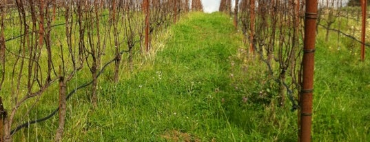 Littorai Wines Estate Winery is one of Vino 🍷.