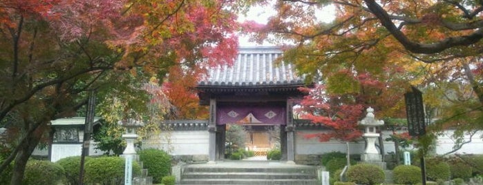 龍福寺 is one of 西の京 やまぐち / Yamaguchi Little Kyoto.