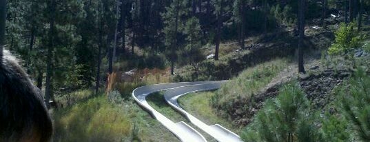 Presidential Alpine Slide is one of Rapid City, SD.