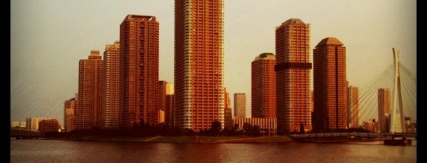 Eitai Bridge is one of iPhone App Tokyo Vista Spots.