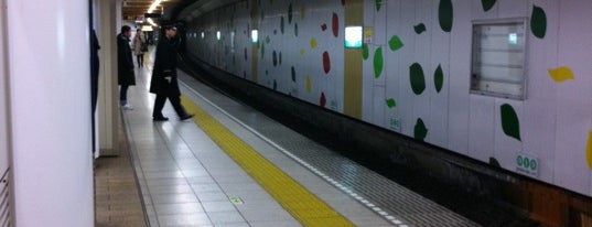代々木公園駅 (C02) is one of Stations/Terminals.